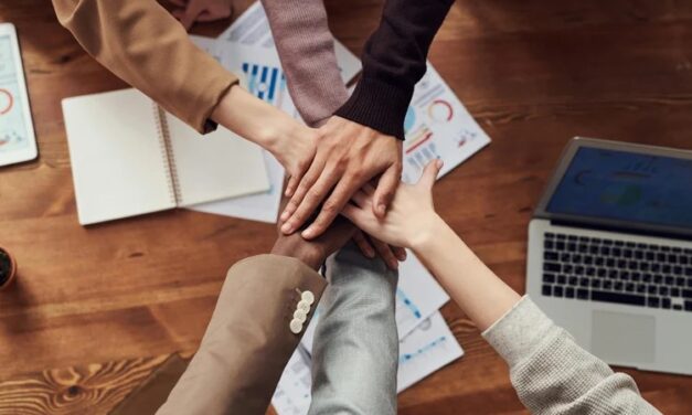 Aicinām darbā izpilddirektoru! 